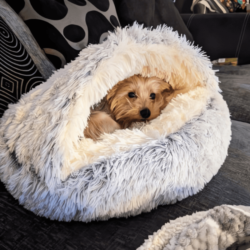 Cloud-Comfort Haven AussiePetStuff™