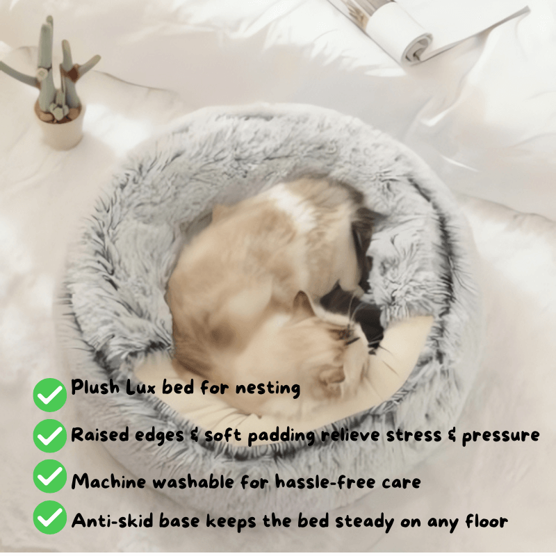 Cloud-Comfort Haven AussiePetStuff™