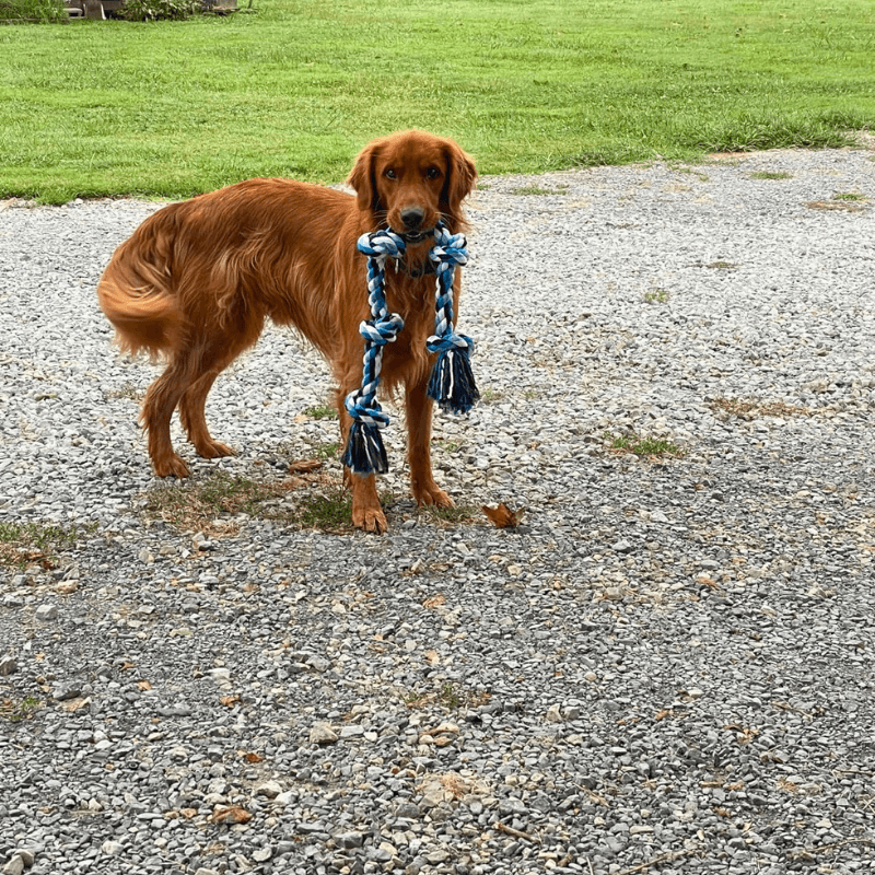 Tug-Titan Rope Aussiepetstuff™
