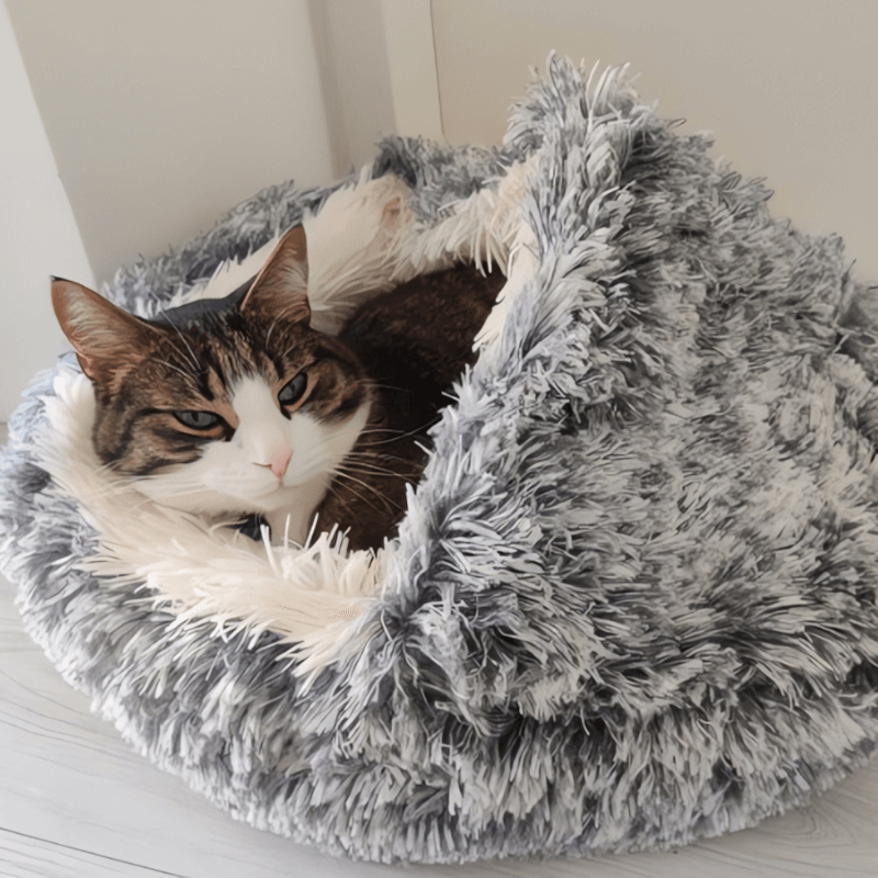 Cloud-Comfort Haven AussiePetStuff™