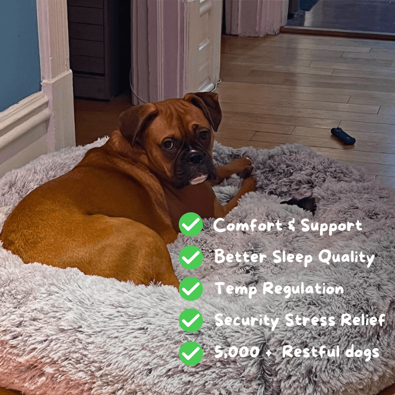Dream-Paws Plush Bed Aussiepetstuff™