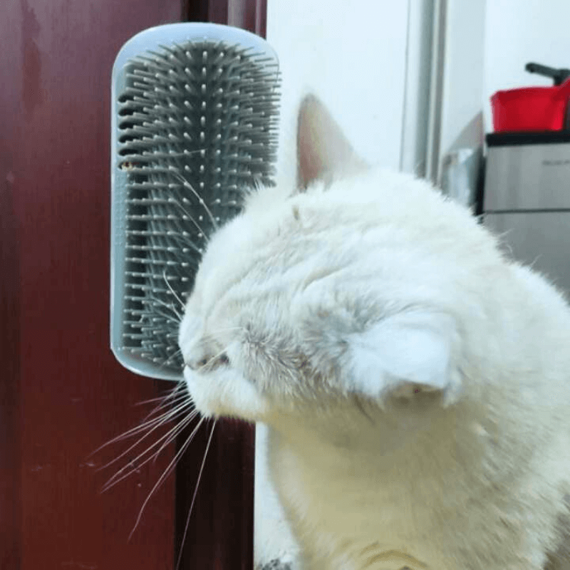 The Purr-fect Bundle Aussiepetstuff™