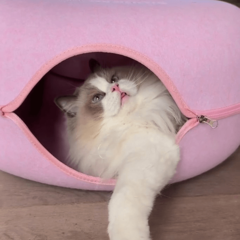 Catnap Cave Aussiepetstuff™