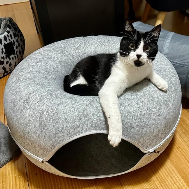 Catnap Cave Aussiepetstuff™