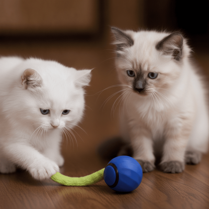 ChaseMate Ball