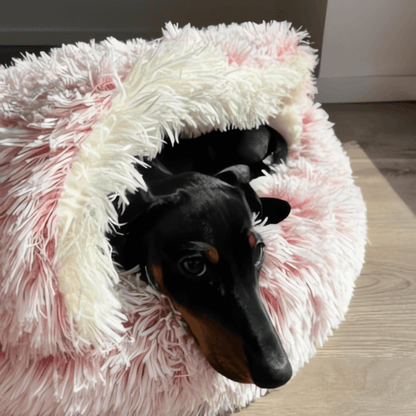 Cloud-Comfort Haven AussiePetStuff™
