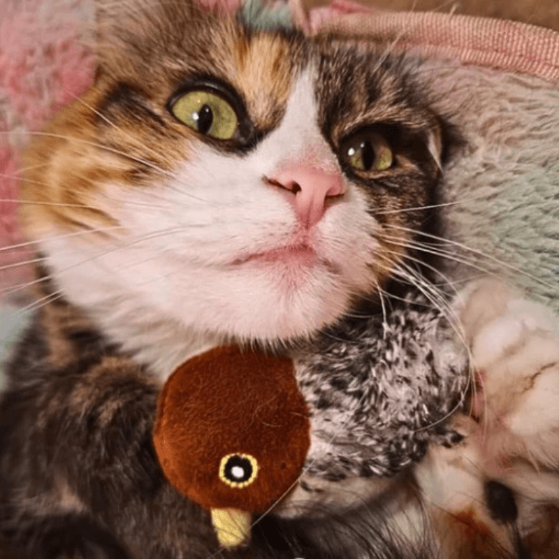Chirpa-Nator AussiePetStuff™