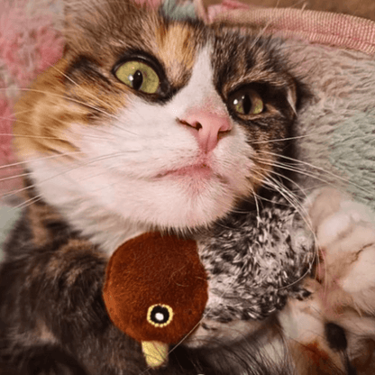 Chirpa-Nator AussiePetStuff™