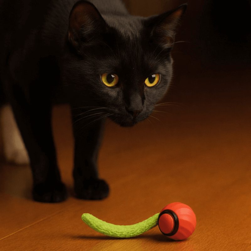 ChaseMate Ball
