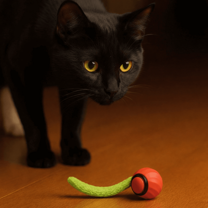 ChaseMate Ball