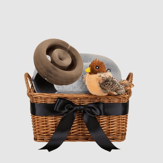 The Play Time Bundle Aussiepetstuff™