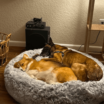 Dream-Paws Plush Bed Aussiepetstuff™