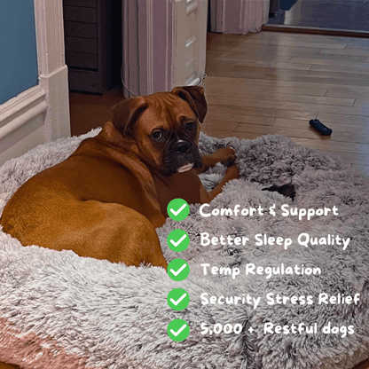 Dream-Paws Plush Bed Aussiepetstuff™