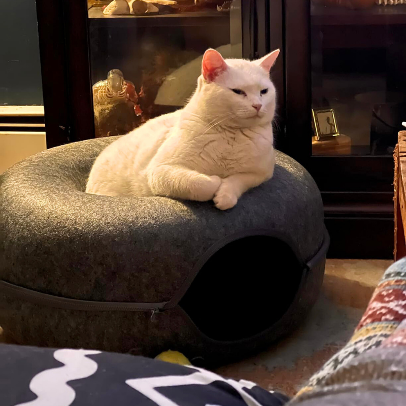 Catnap Cave Aussiepetstuff™