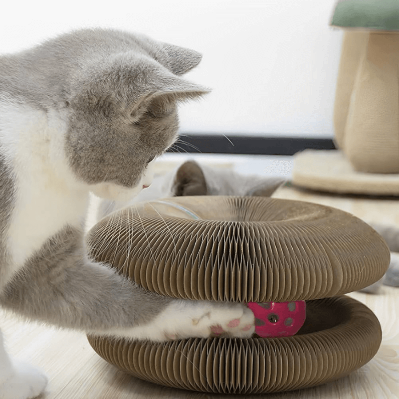 FoldN'Play Cat Scratcher Aussiepetstuff™