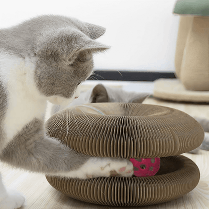 FoldN'Play Cat Scratcher Aussiepetstuff™