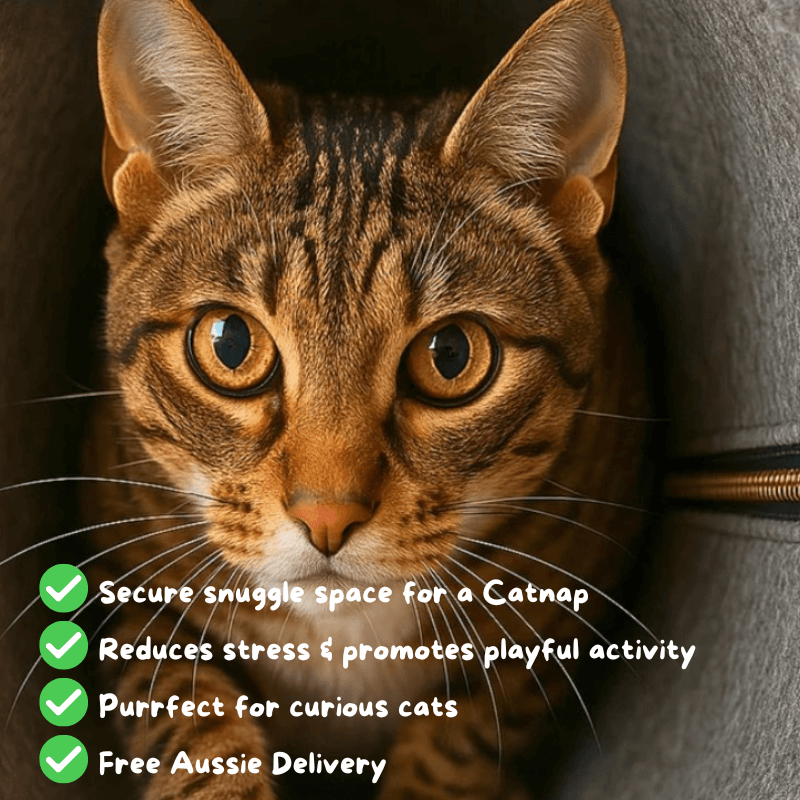 Catnap Cave Aussiepetstuff™