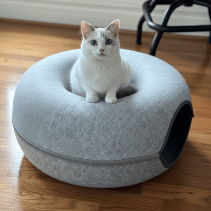 The Play Time Bundle Aussiepetstuff™