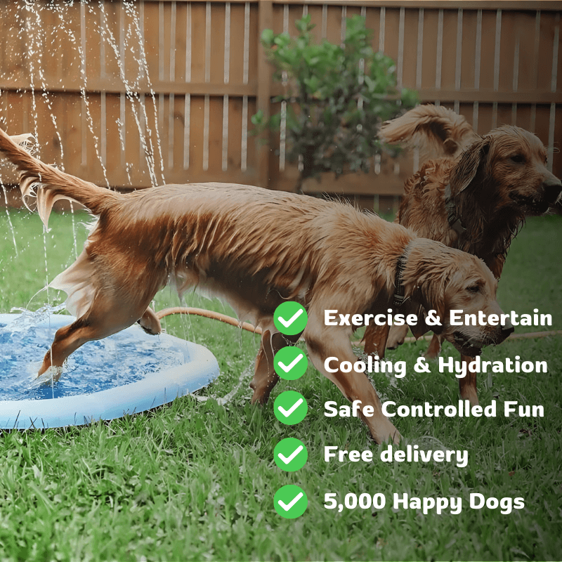 Aqua-Paws Splash Mat Aussiepetstuff™