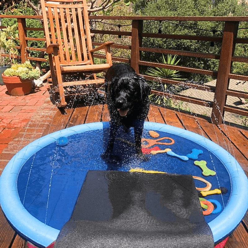 Aqua-Paws Splash Mat Aussiepetstuff™