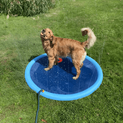 Aqua-Paws Splash Mat Aussiepetstuff™