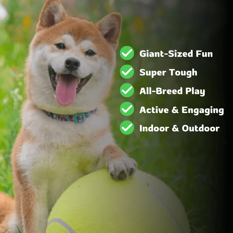 Fetcha-saurus Rex Ball AussiePetStuff™